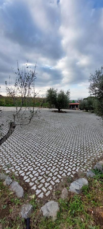 Merumalia Wine Resort Frascati Bagian luar foto