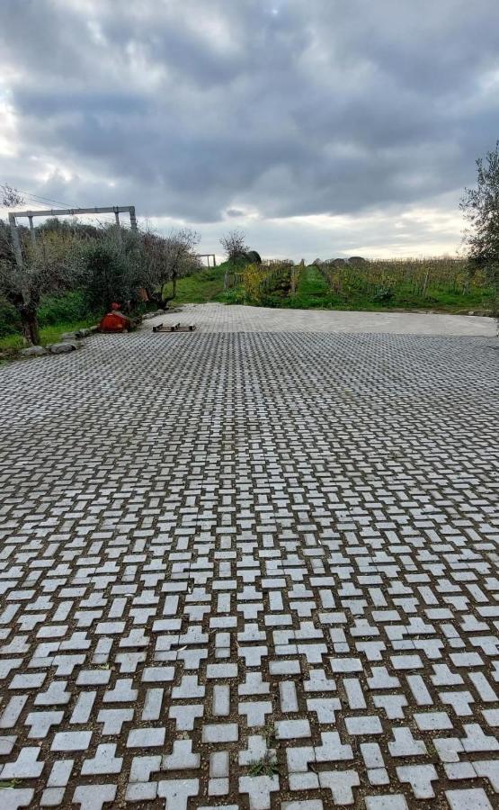 Merumalia Wine Resort Frascati Bagian luar foto