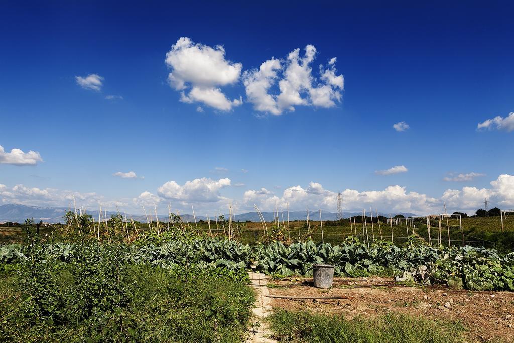 Merumalia Wine Resort Frascati Bagian luar foto