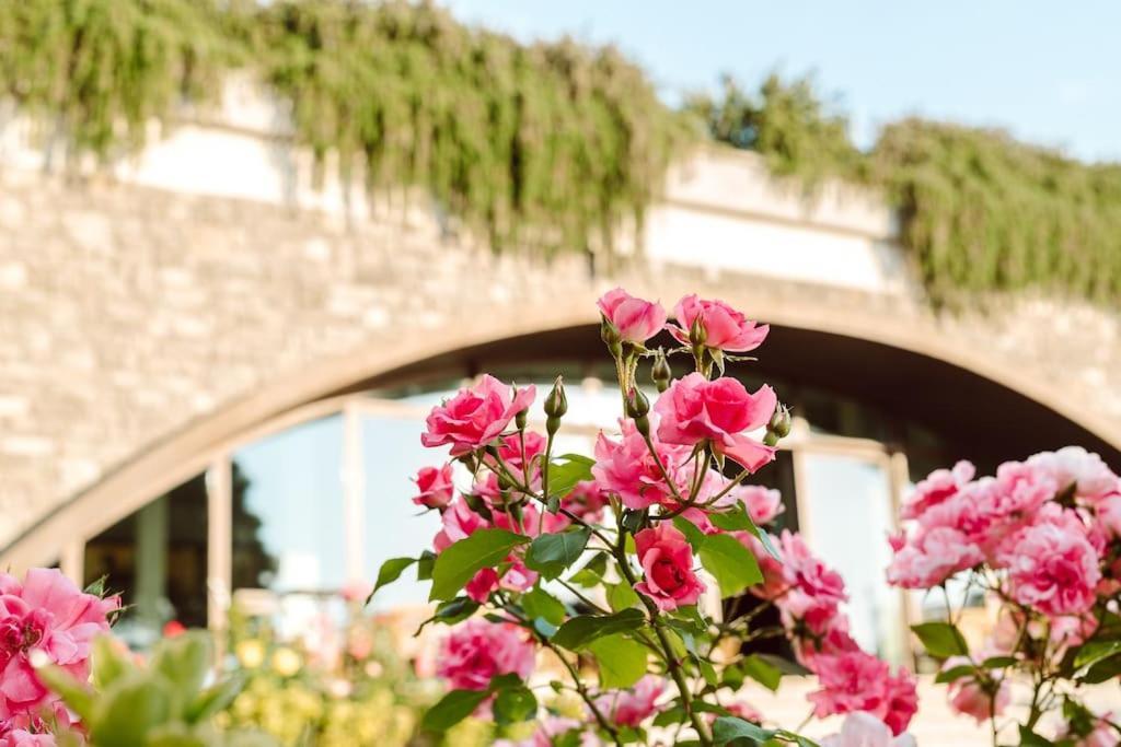 Merumalia Wine Resort Frascati Bagian luar foto