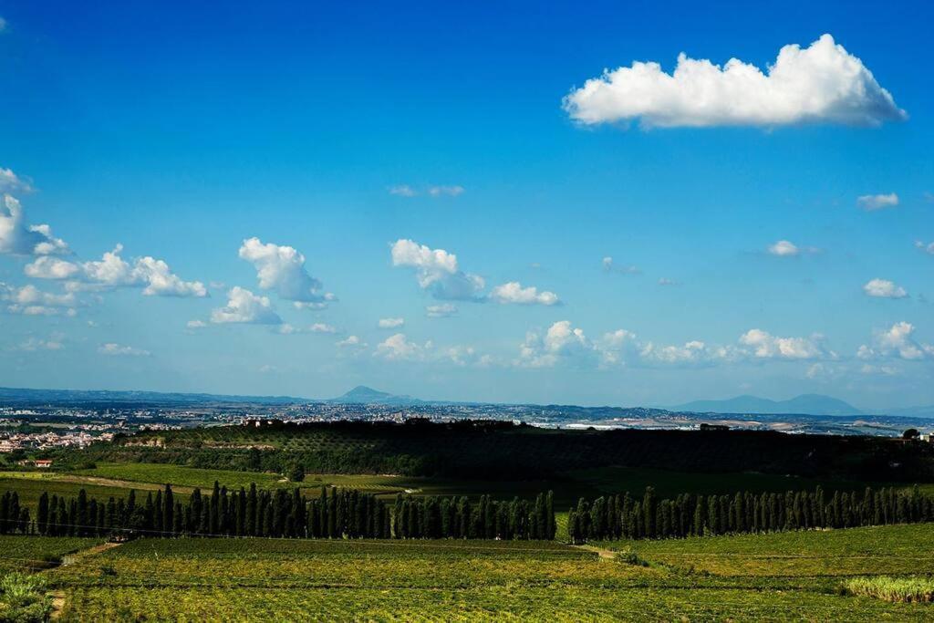 Merumalia Wine Resort Frascati Bagian luar foto