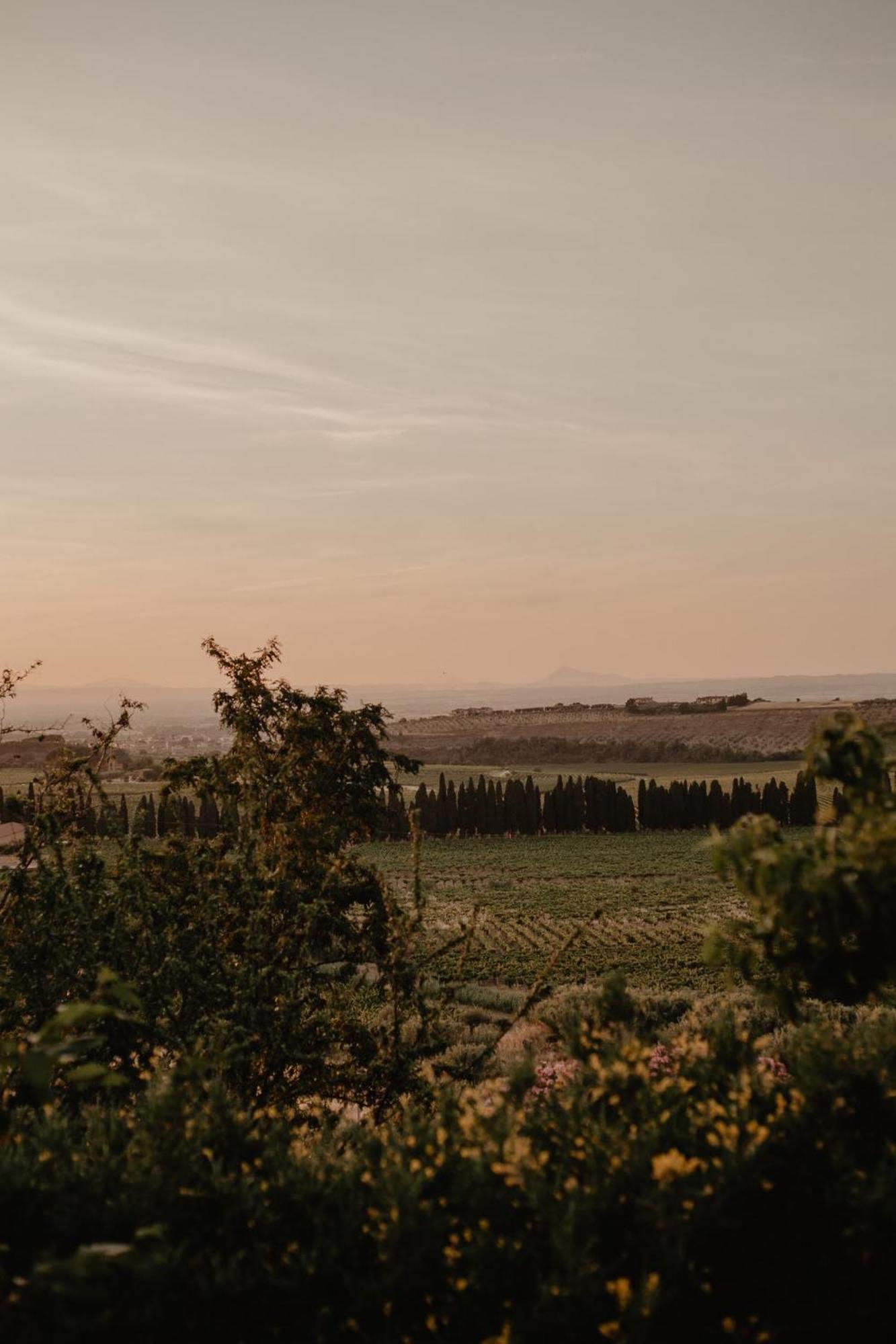 Merumalia Wine Resort Frascati Bagian luar foto