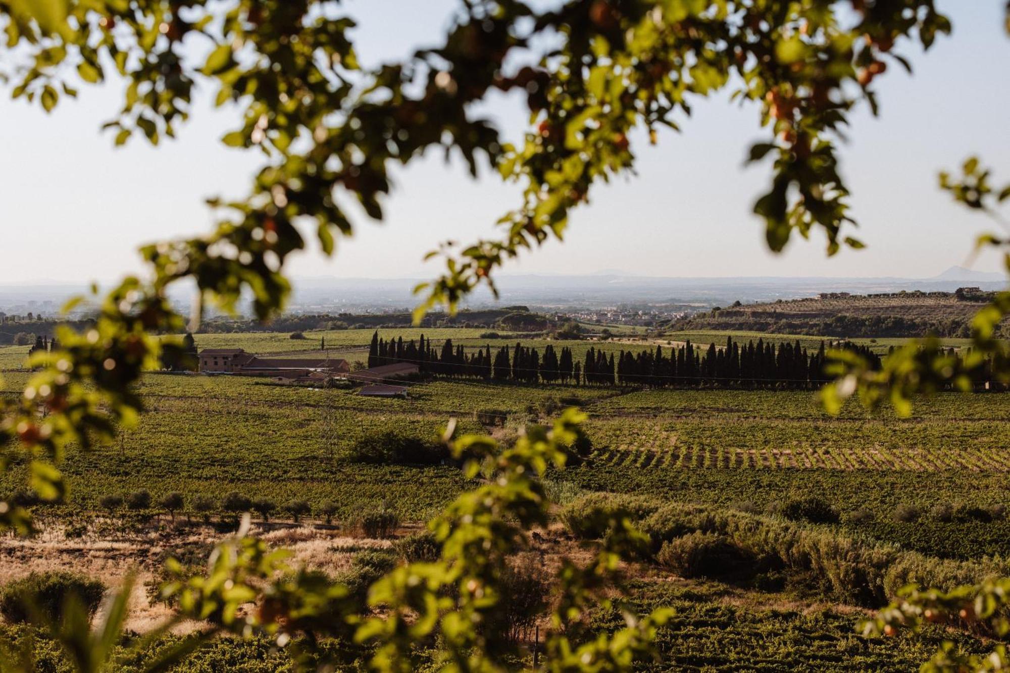 Merumalia Wine Resort Frascati Bagian luar foto