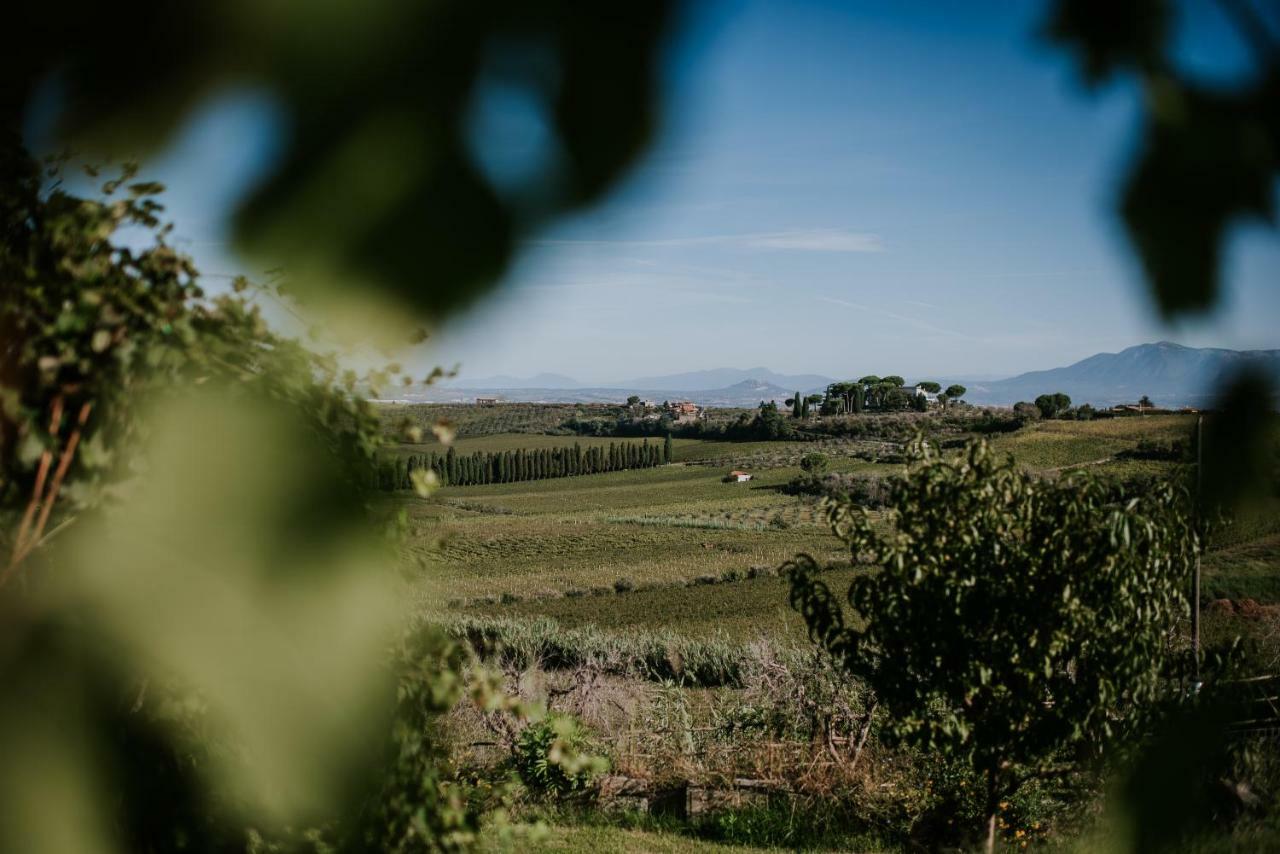 Merumalia Wine Resort Frascati Bagian luar foto